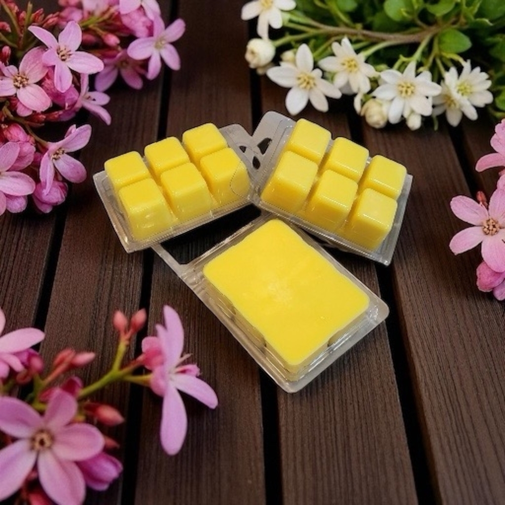 Soy Wax Melting Tarts Handcrafted Orchid & Vibe  100% Highest Quality Soy Wax